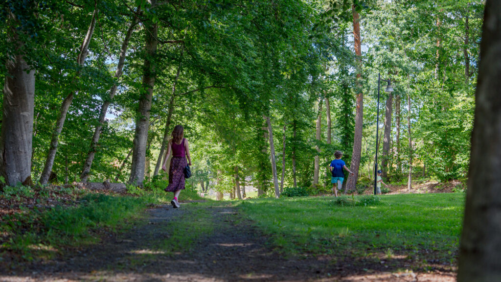 Wiks slott wiksparken bokskogen