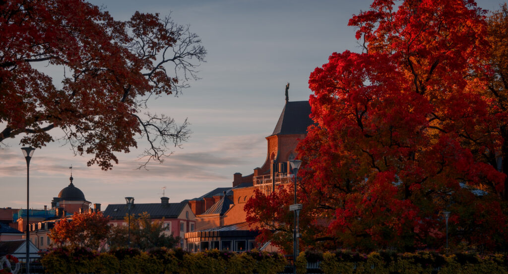 uppsala domkyrka autumn
