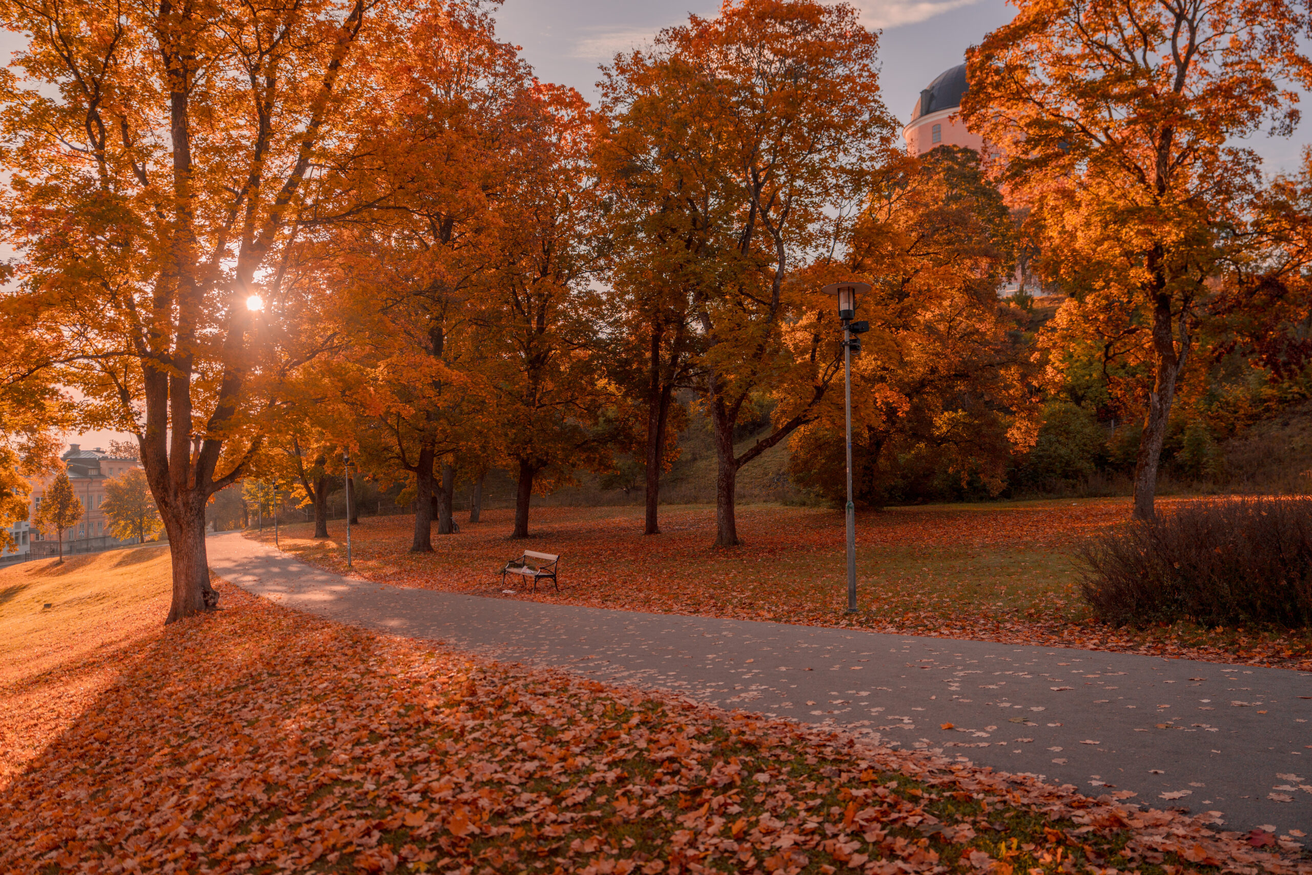 Uppsala castle park autumn