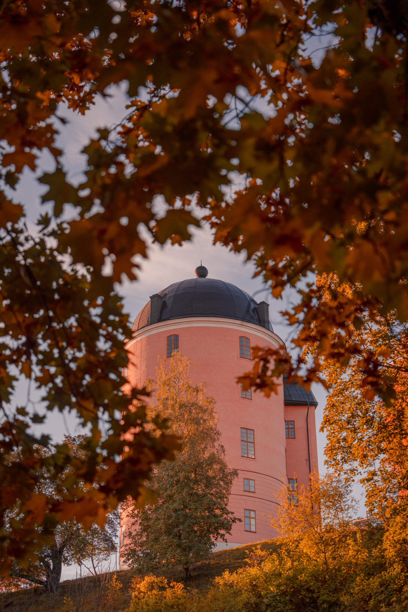 Uppsala slott autumn