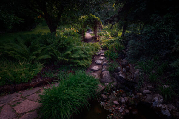Uppsala Botanical Garden path