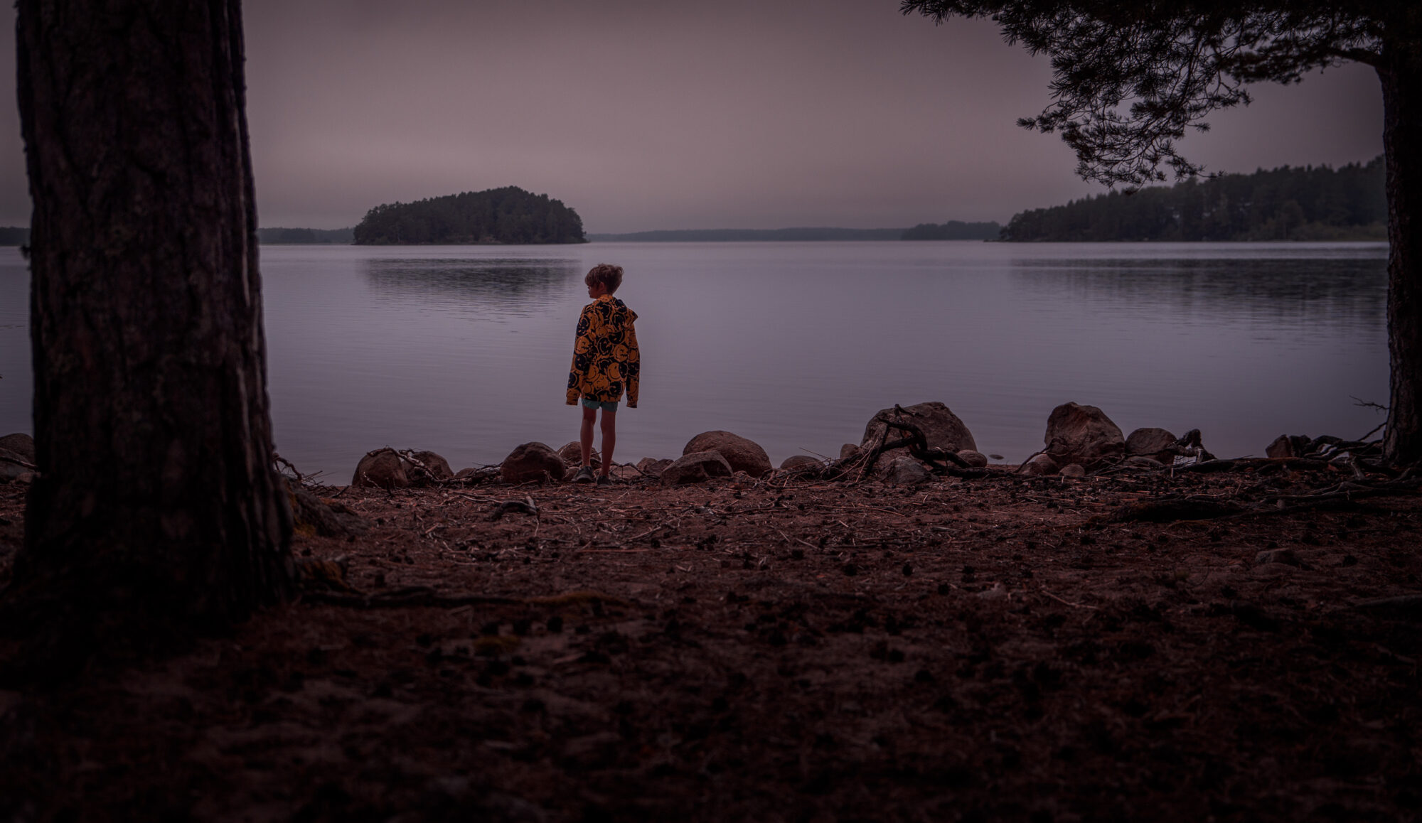 Sandön Färnebofjärden kid island looking out