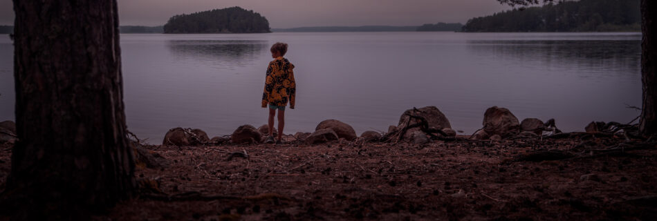 Sandön Färnebofjärden kid island looking out