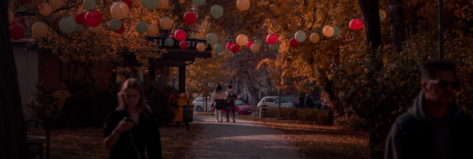Varosliget Park Budapest autumn insstagram spot cosy path