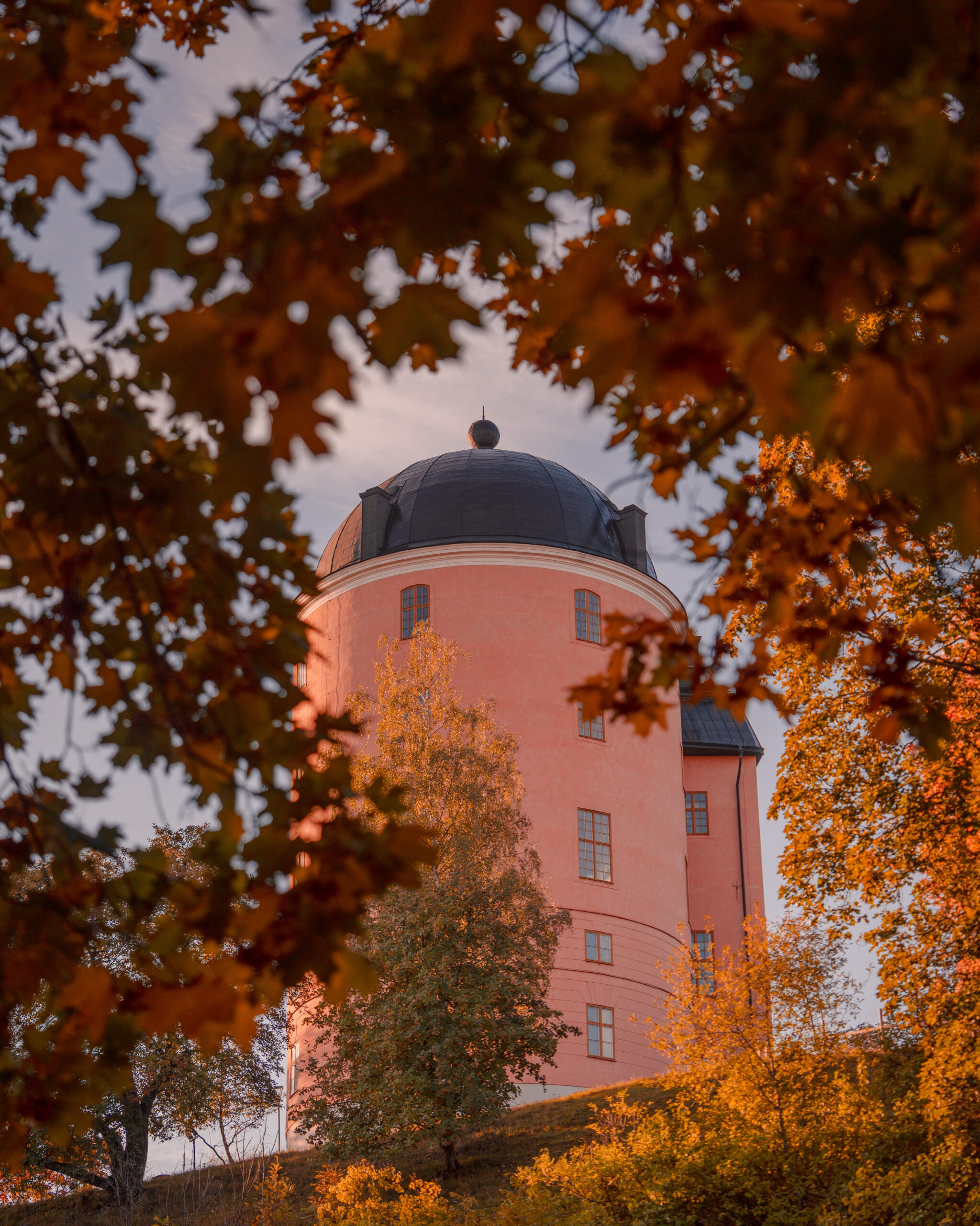 Uppsala Slott Castle Autumn