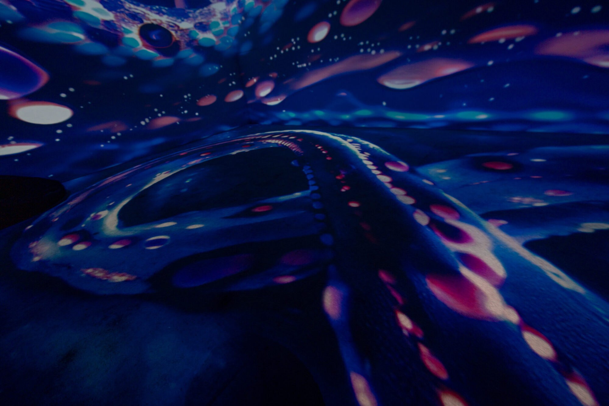 Budapest Family Activity AI Museum