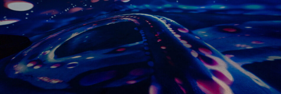 Budapest Family Activity AI Museum