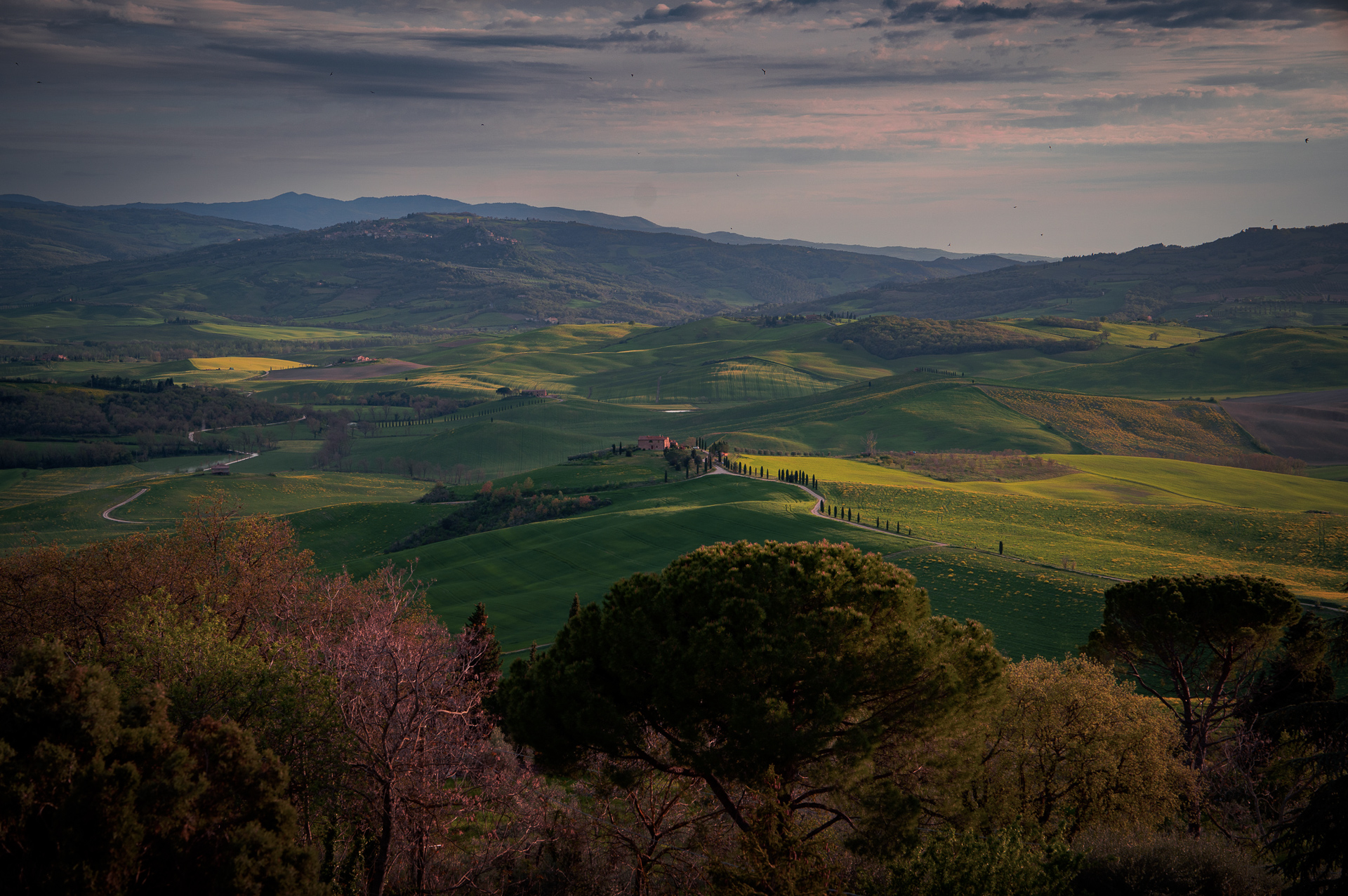 Tuscany-Travel-Photography-guide-Italy-Val-DOrcia-road-cypress-view