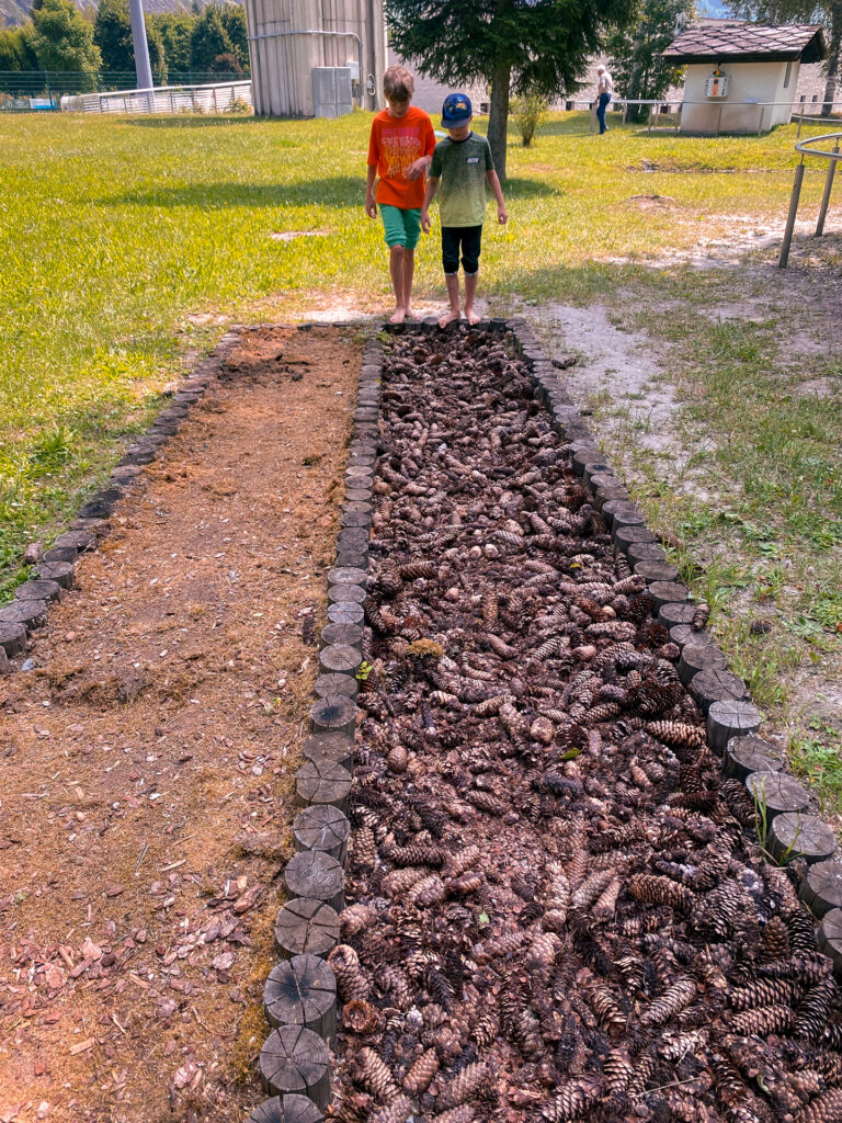 Barefooting-Path-in-Morgex-kid-activity-Monte-Blanco