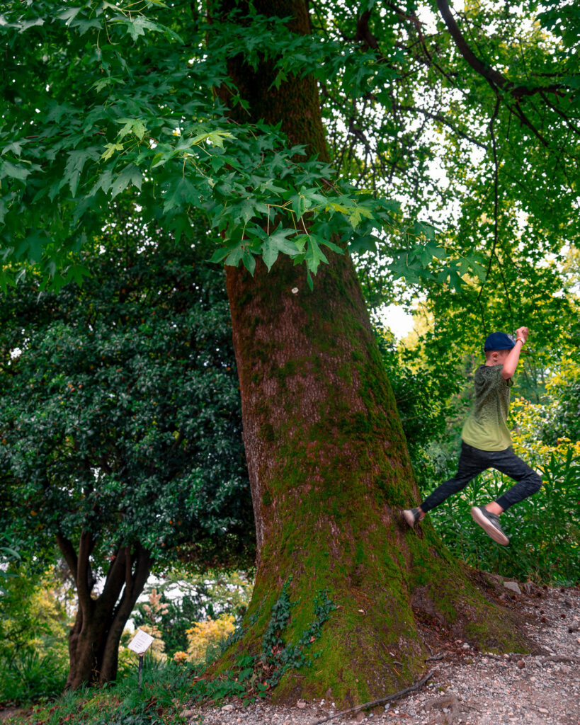 Lake-Como-Family-road-trip-in-Northern-Italy-Villa-Carlotta-tree-parkour-kid