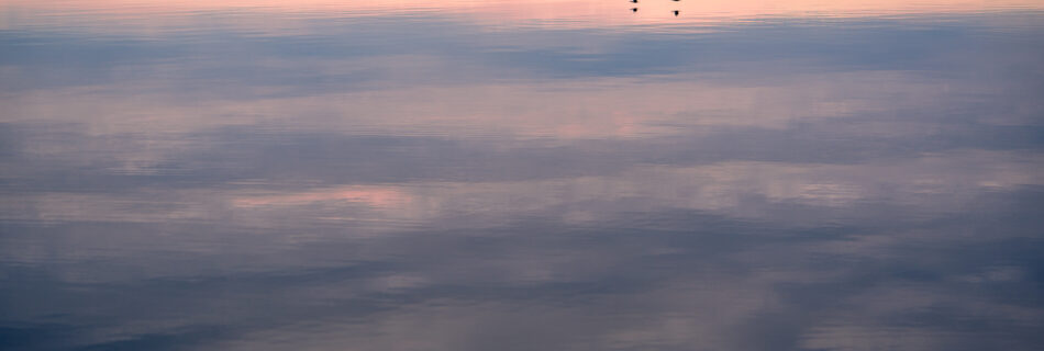Omberg - View of Lake Vättern with birds flying from lookout point