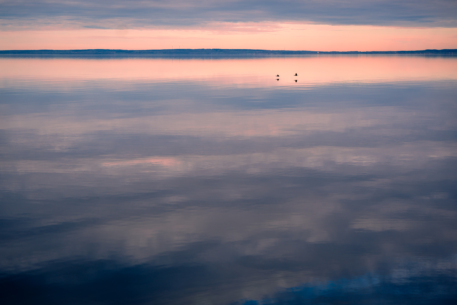Omberg - View of Lake Vättern with birds flying from lookout point