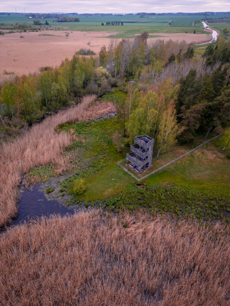 Takern-Lake-Ostergotland-spring-bird-tower-drone-shot