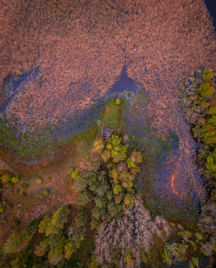 Takern-Lake-Ostergotland-spring-bird-tower-drone-shot-from-above