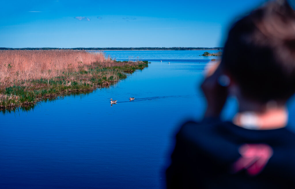 Takern-Lake-Ostergotland-spring-birds-kid-binoculars