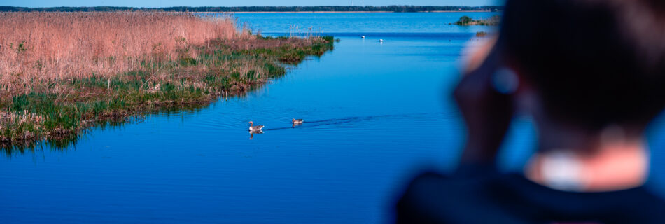 Takern-Lake-Ostergotland-spring-birds-kid-binoculars