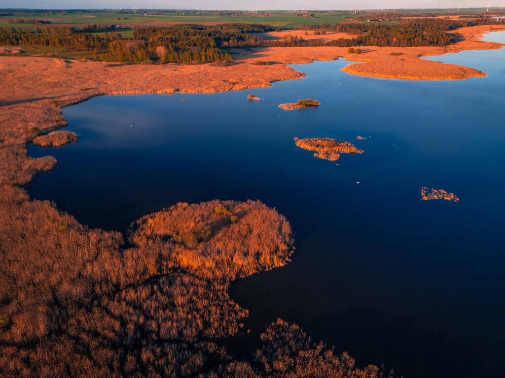 Takern-Lake-Ostergotland-spring-birds-reed-island-sunrise