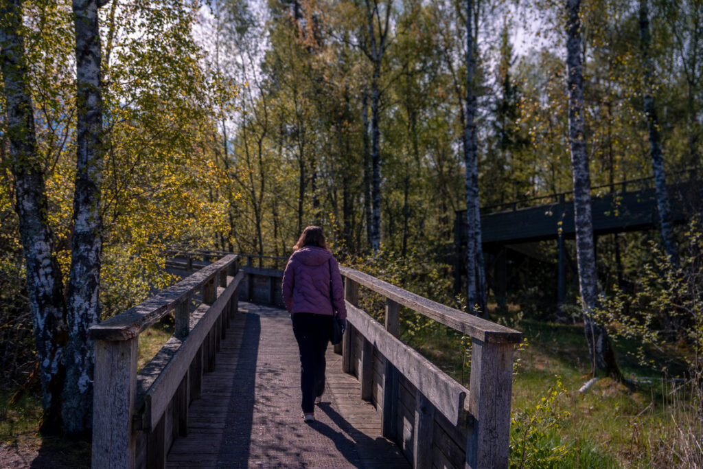 Takern-Lake-Ostergotland-var-Naturum-spang