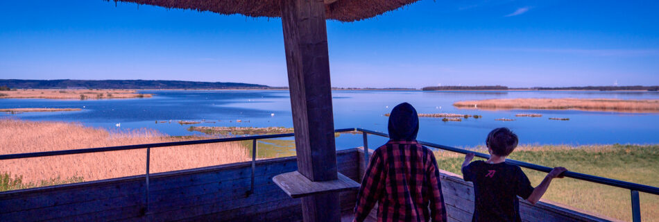 Takern-Lake-Ostergotland-var-fageltorn-barn
