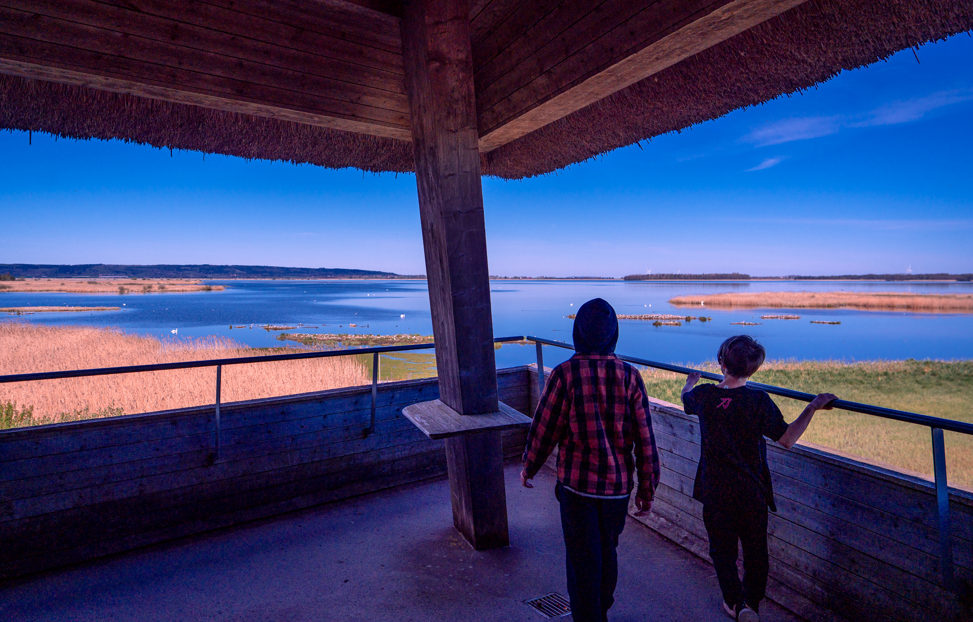 Takern-Lake-Ostergotland-var-fageltorn-barn