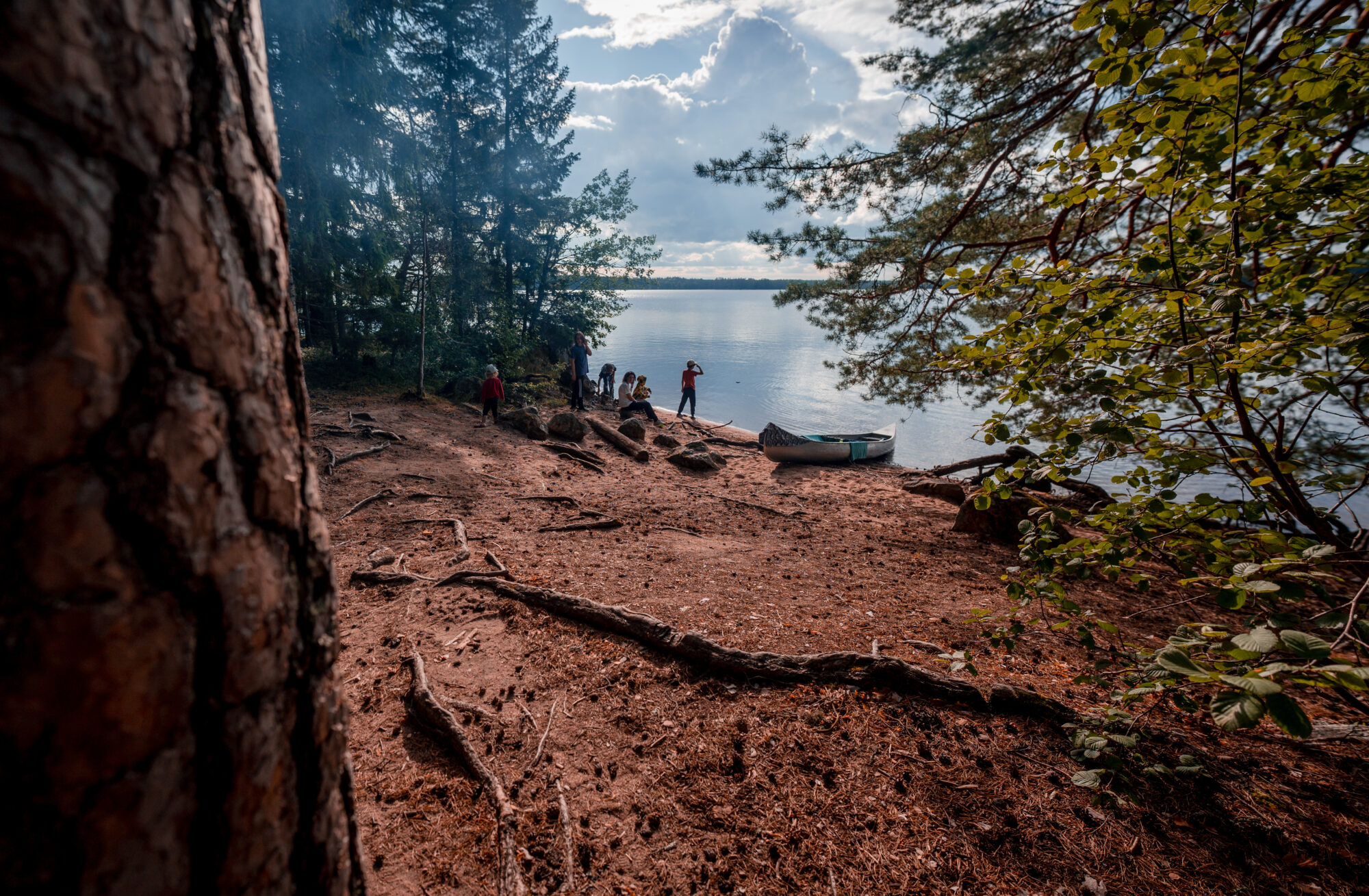 Farnebofjarden-National-Park-Family-hike-camping-kayak-sandon-look-out-scaled