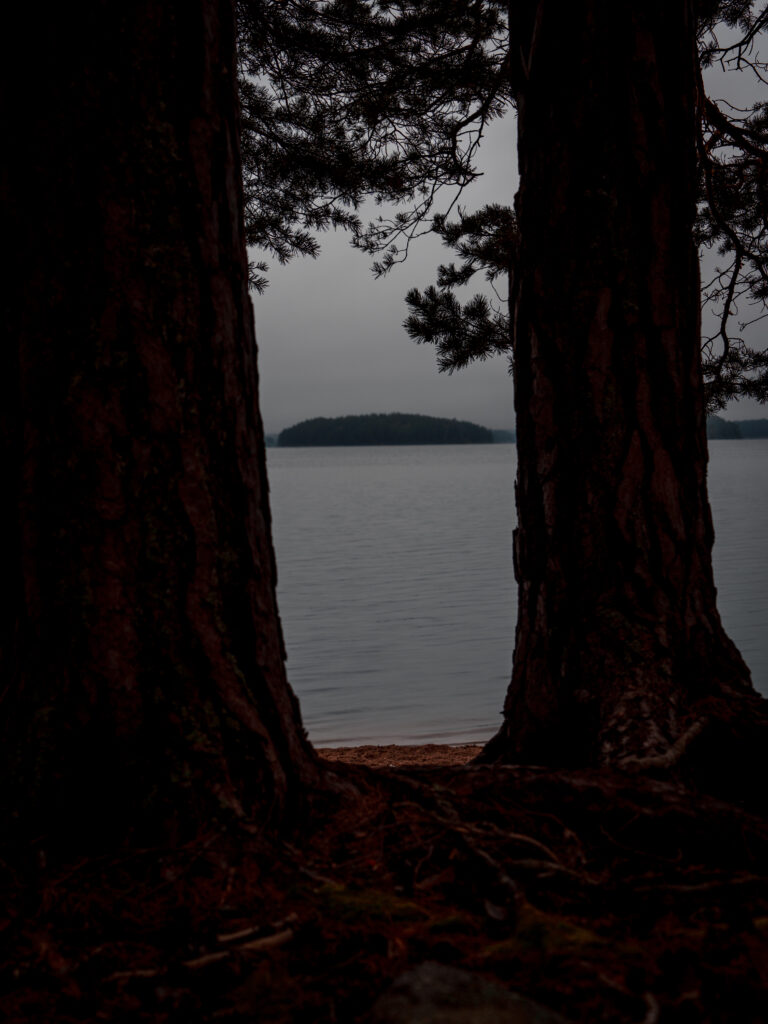 Farnebofjarden-National-Park-Family-hike-camping-kayak-sandon-moody-morning-island-scaled
