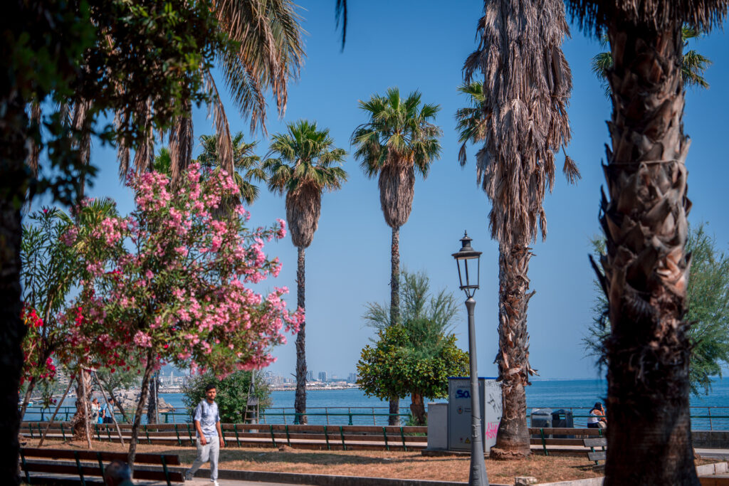 Amalfi-Coast-Italy-Trip-26-Lungomare-di-Salerno-Seafront-Palms-walkway