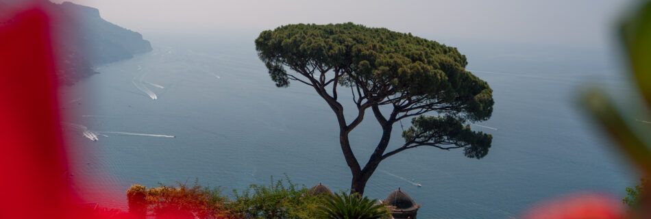 Amalfi-Coast-Italy-Trip Ravello-Villa-Rufolo-garden-tree.