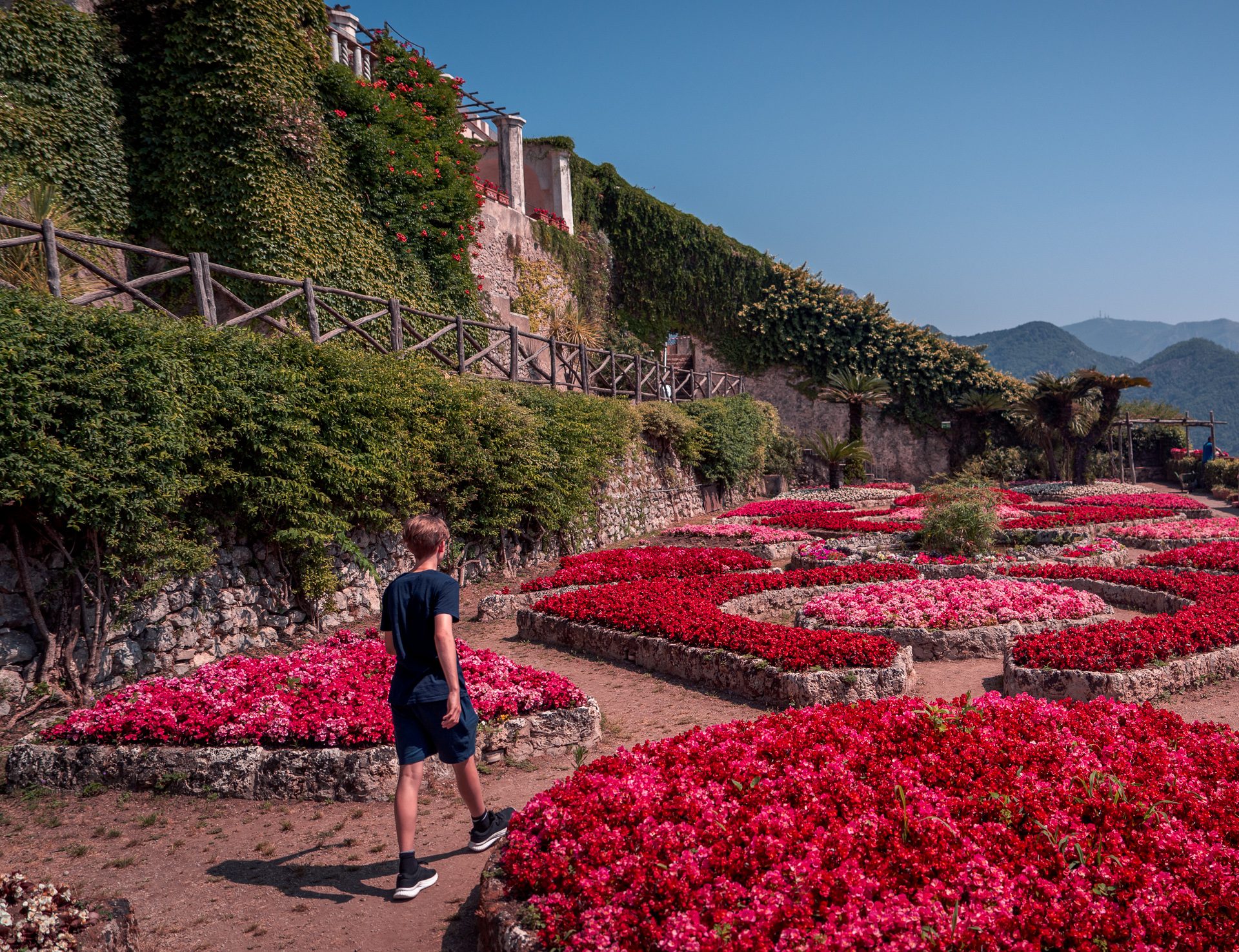 Amalfi-Coast-Italy-Trip Ravello-Villa-Rufolo-garden-flowers-tree