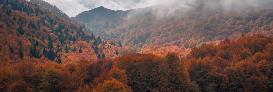 National Park Galicica - Autumn Travel Photography Shot - North Macedonia