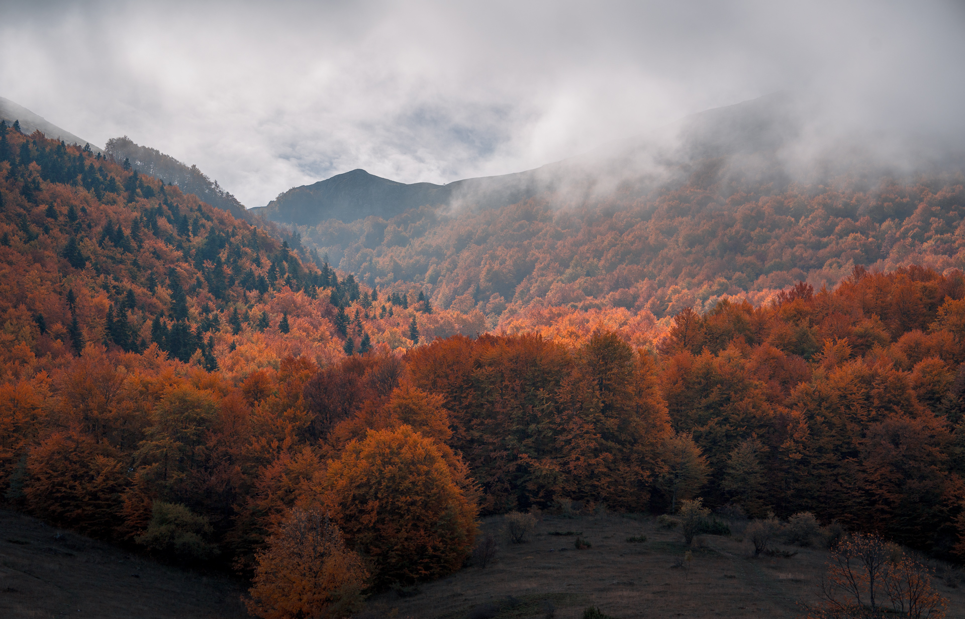 National Park Galicica - Autumn Travel Photography Shot - North Macedonia