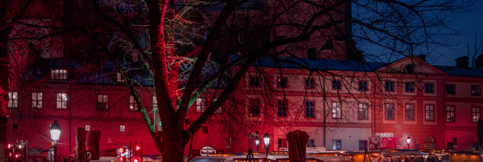 Christmas Market in Sweden - Cosy Christmas Vibel - Uppsala Historiska Julmarknad