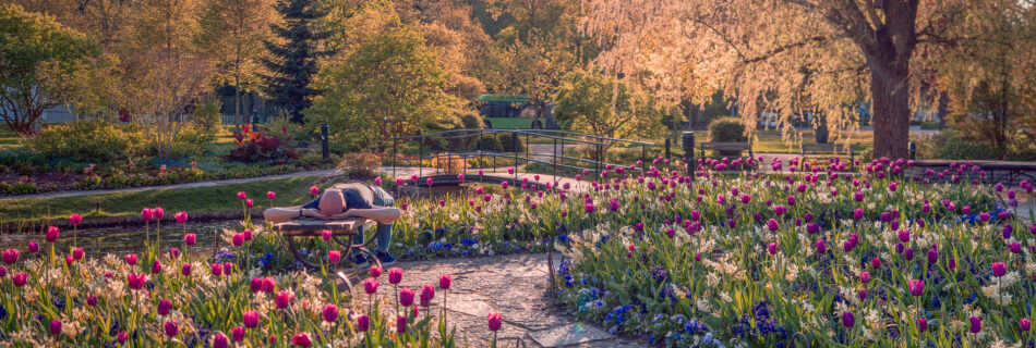 Relaxing in Spring Sunshine - Uppsala Stadsträdgård - Uppsala Sweden