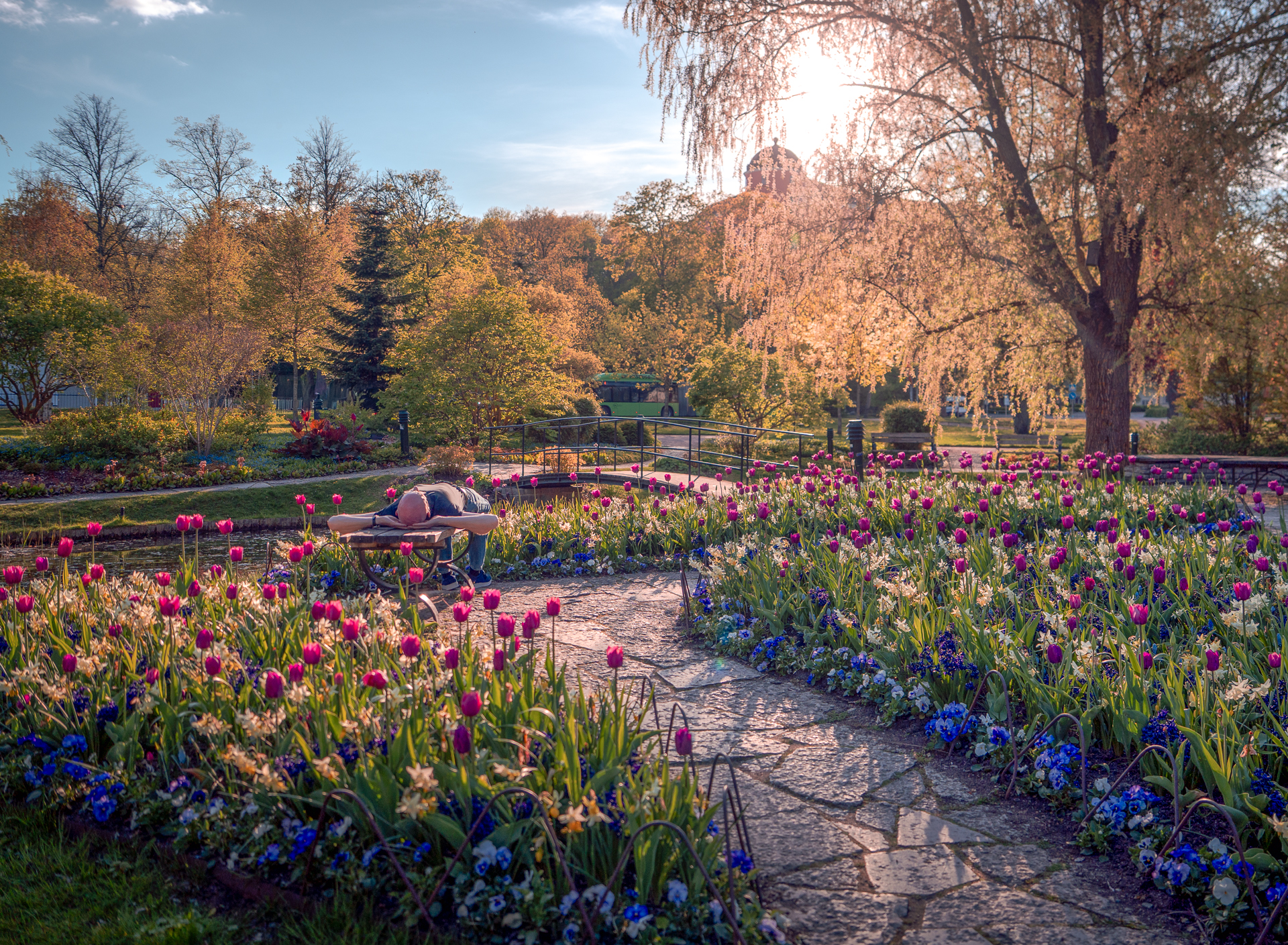 Relaxing in Spring Sunshine - Uppsala Stadsträdgård - Uppsala Sweden