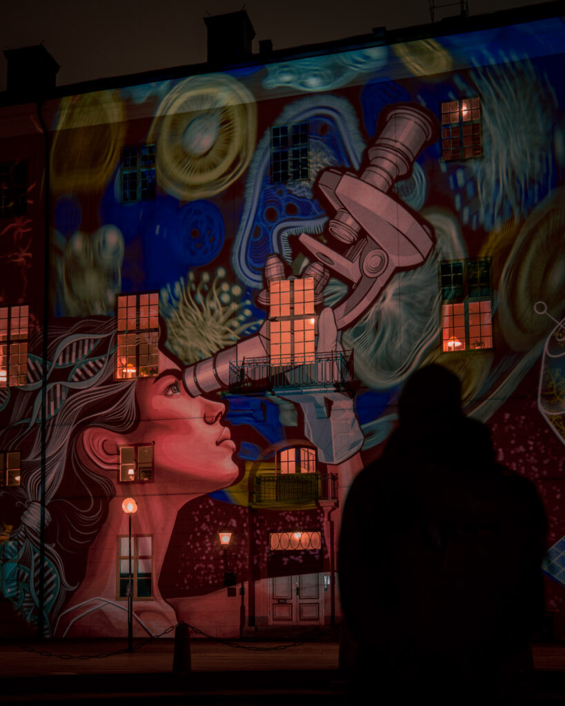 Uppsala Slott - Allt ljus på Uppsala - Light Art Festival - Sweden