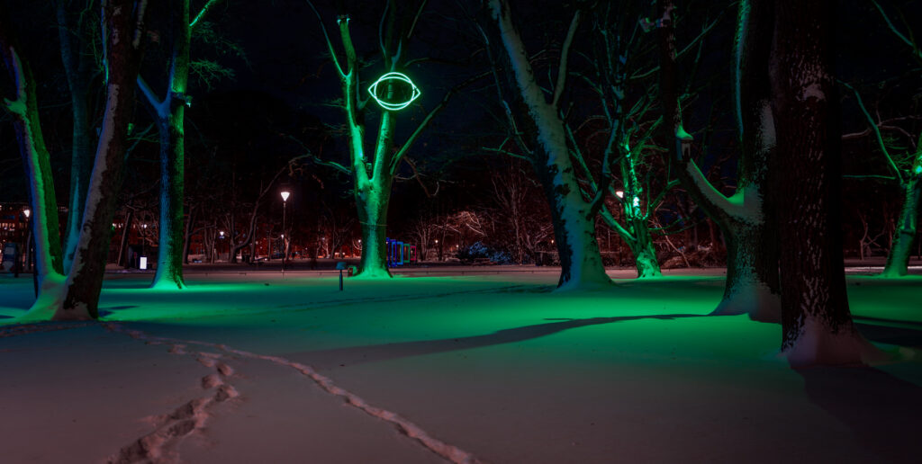Visit Allt Ljus på Uppsala Stadsträdgården - Trees and Art in Snow - Light Artworks 2024