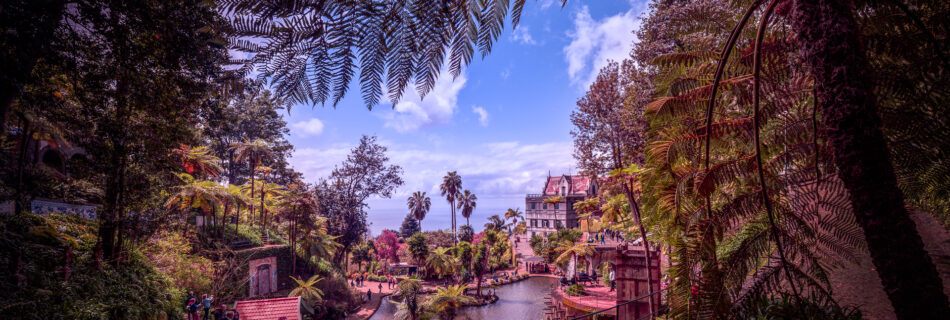 Madeira Funchal Monte Palace View in Spring