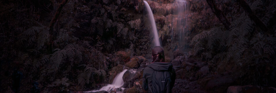 Levada do Caldeirão Verde Madeira