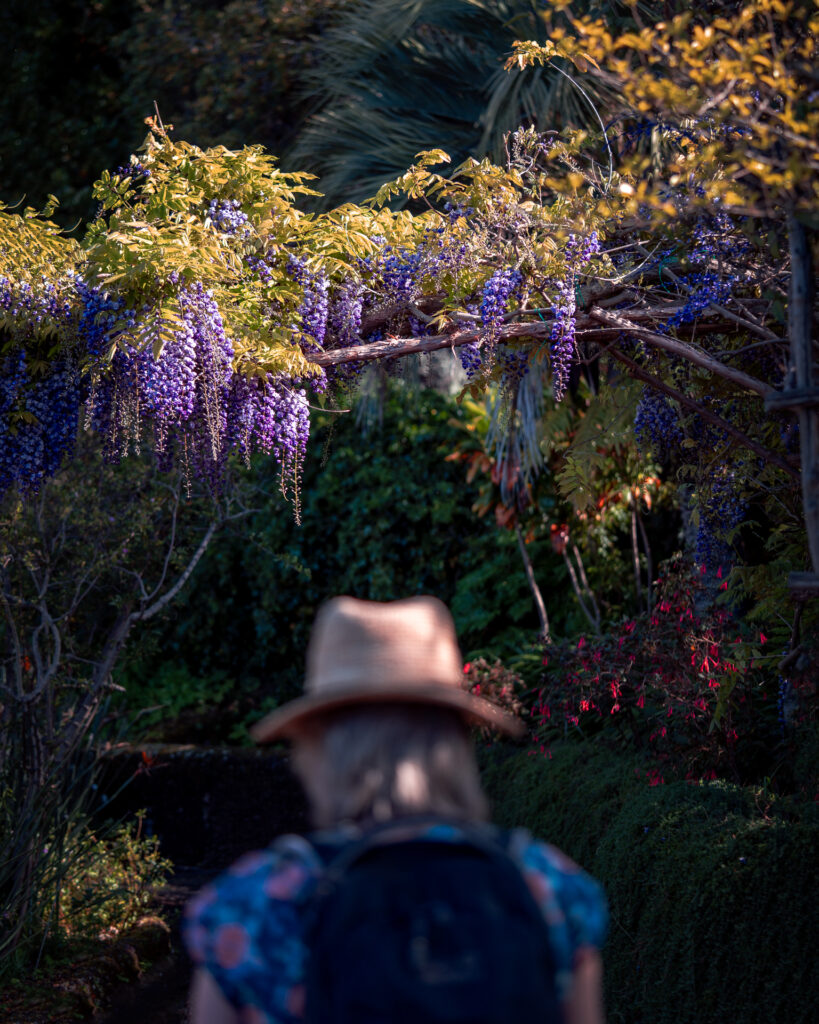 Madeira Botanical Garden in Funchal