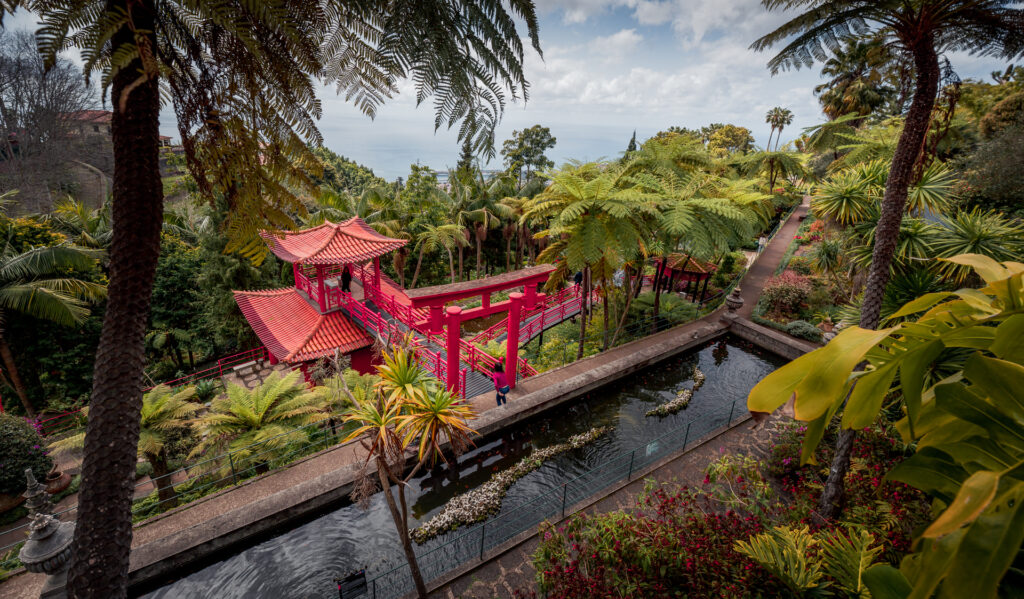 Monte Palace Tropical Garden Madeira - Pagoda and Palm Trees