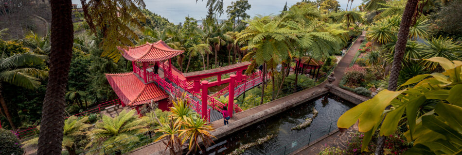 Monte Palace Tropical Garden Madeira - Pagoda and Palm Trees