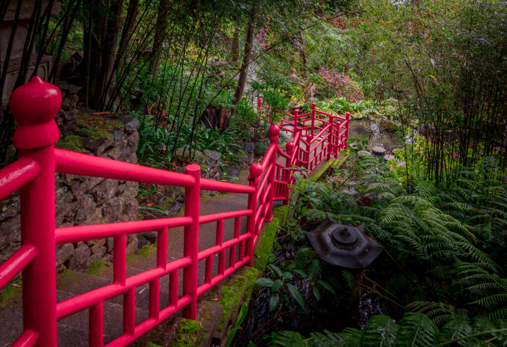 Monte Palace Tropical Garden Madeira - Path in Green