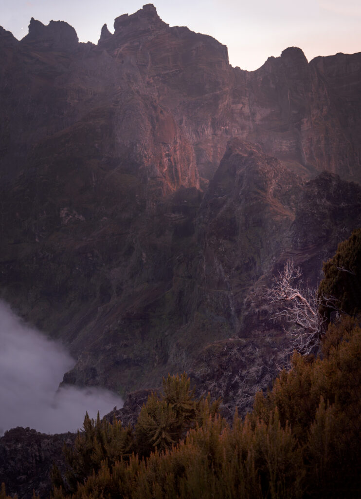 Pico Ruivo Hike Viewpoint Madeira - Dead Tree Above Clouds