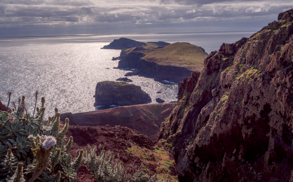 Ponta de São Lourenço - PR8 São Lourenço - Miradouro Ponta do Furado - Cliff and Flowers Lighthouse View