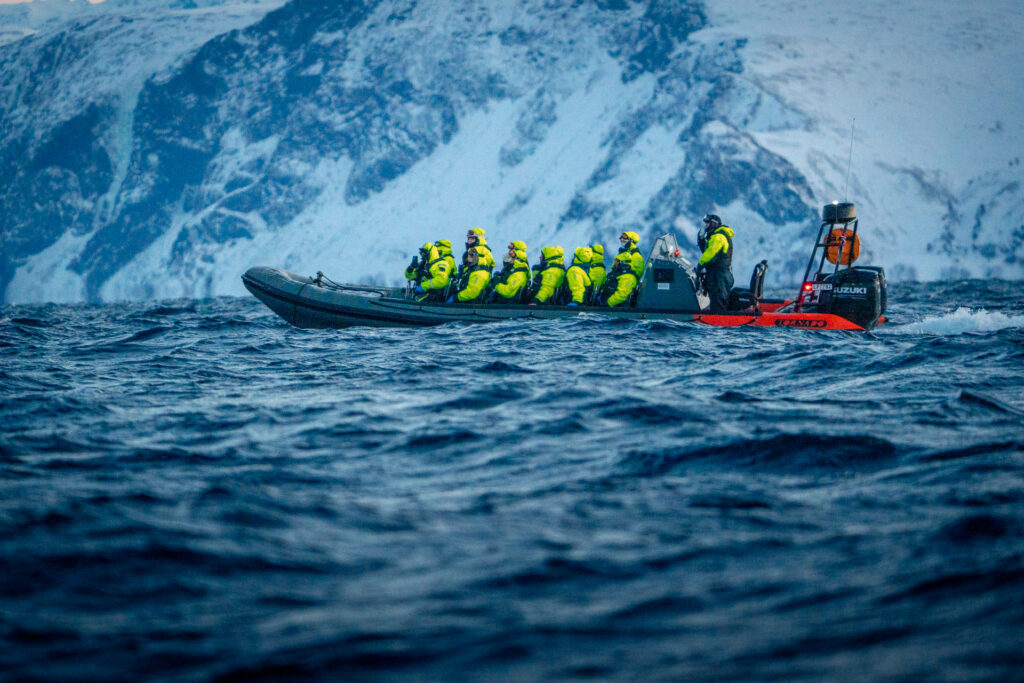Whale Safari Rib Boat at Skjervöy ner Tromsö