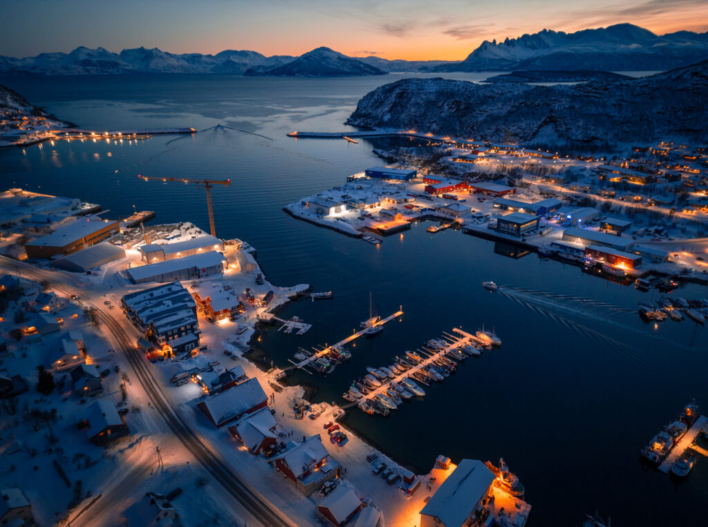 Whale Safari at  Skjervöy Harbour near Tromsö - Morning Drone Shot