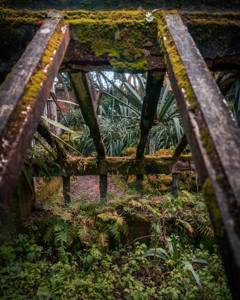 Tropical Botanical Garden - Greenhouse Overgrown Roof - Lisbon Portugal