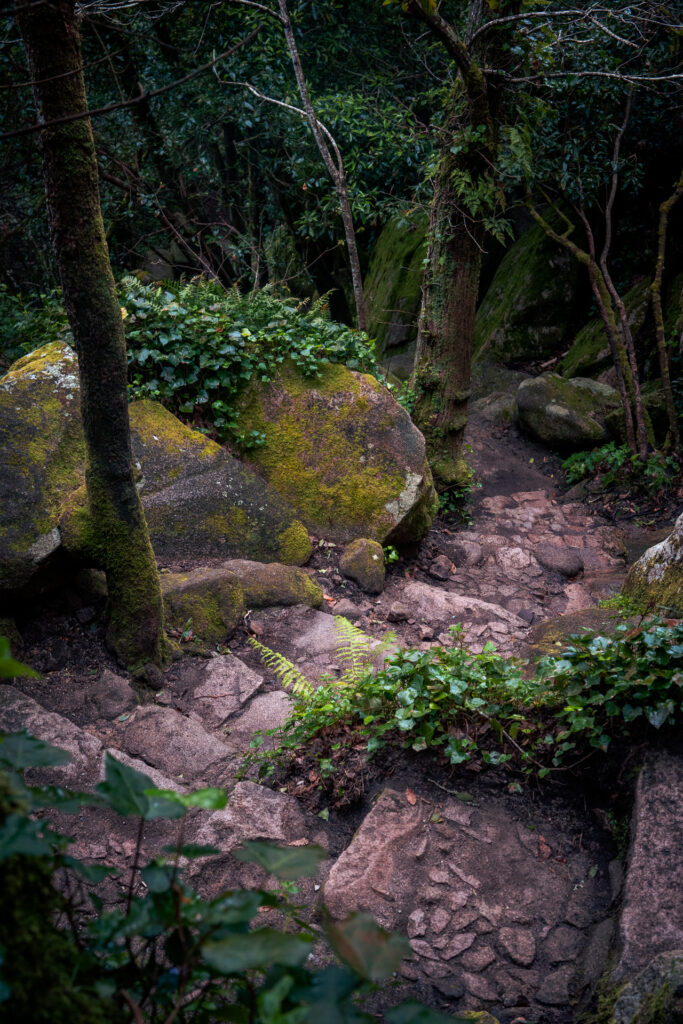 Winding Steps on the Way Park and National Palace of Pena - Sintra - Lisboa - Portugal