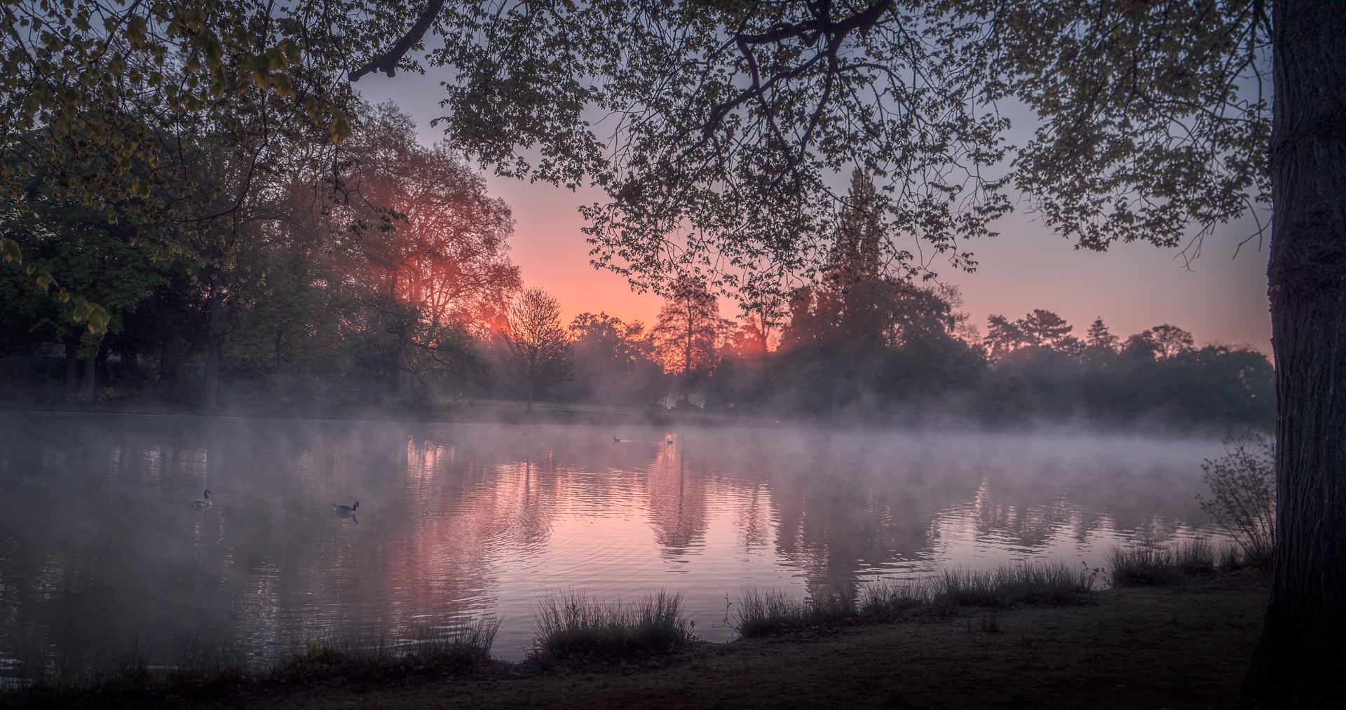 Foggy Sunrise at Lac Daumesnil in Bois de Vincennes - Paris Travel Photography