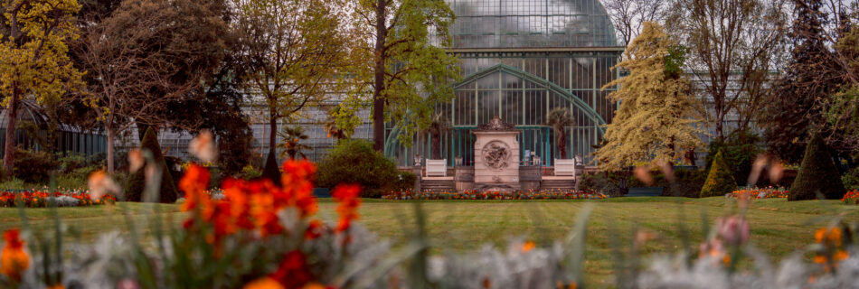 Spring Blossoms in Jardin des Serres d’auteuil Botanical Garden Paris - Travel Photography
